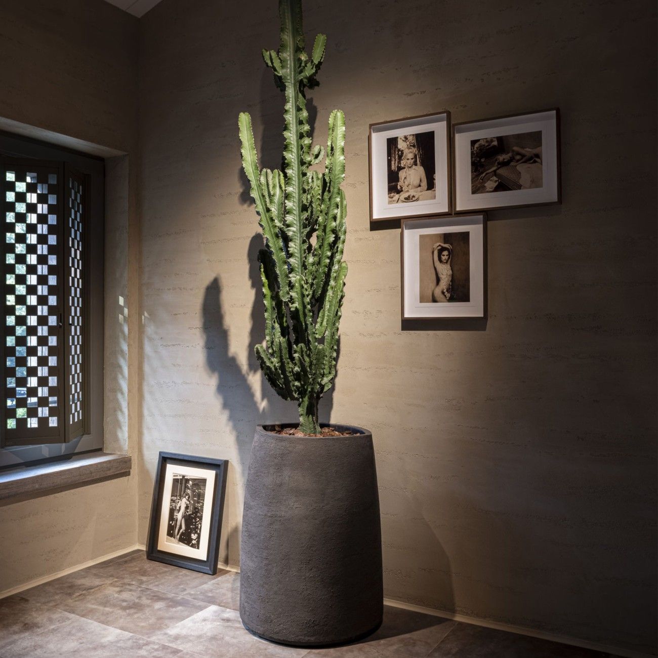 CK - Image 2